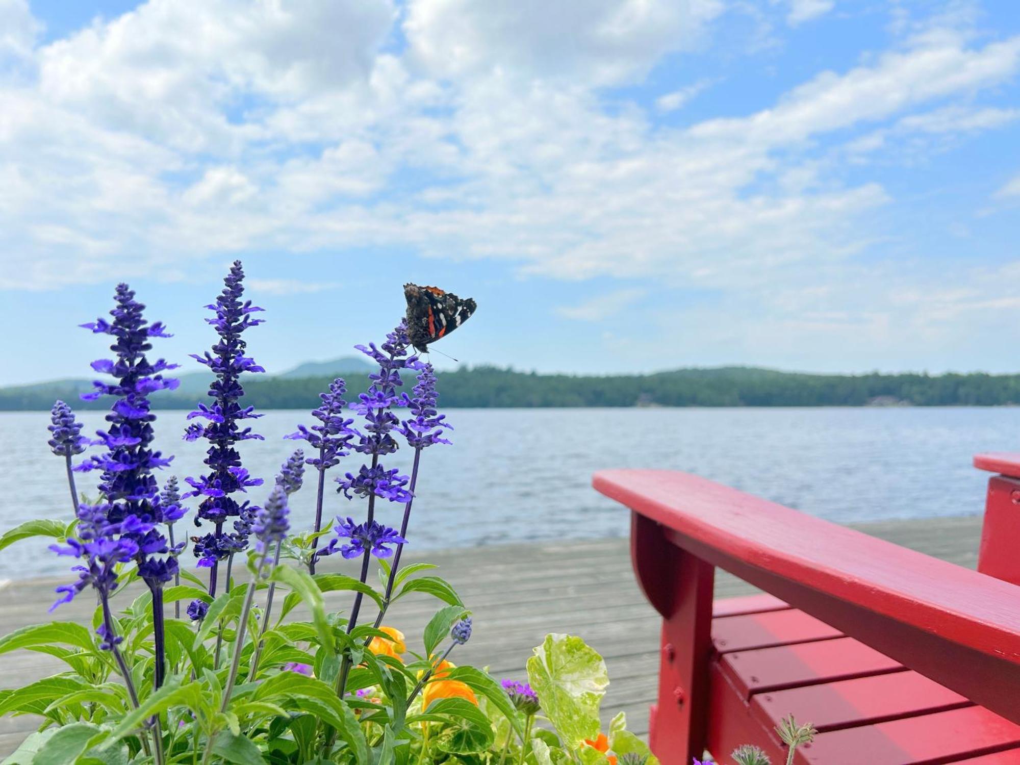 Paddler'S Rest Lakeside Cabins And Motel Long Lake Bagian luar foto